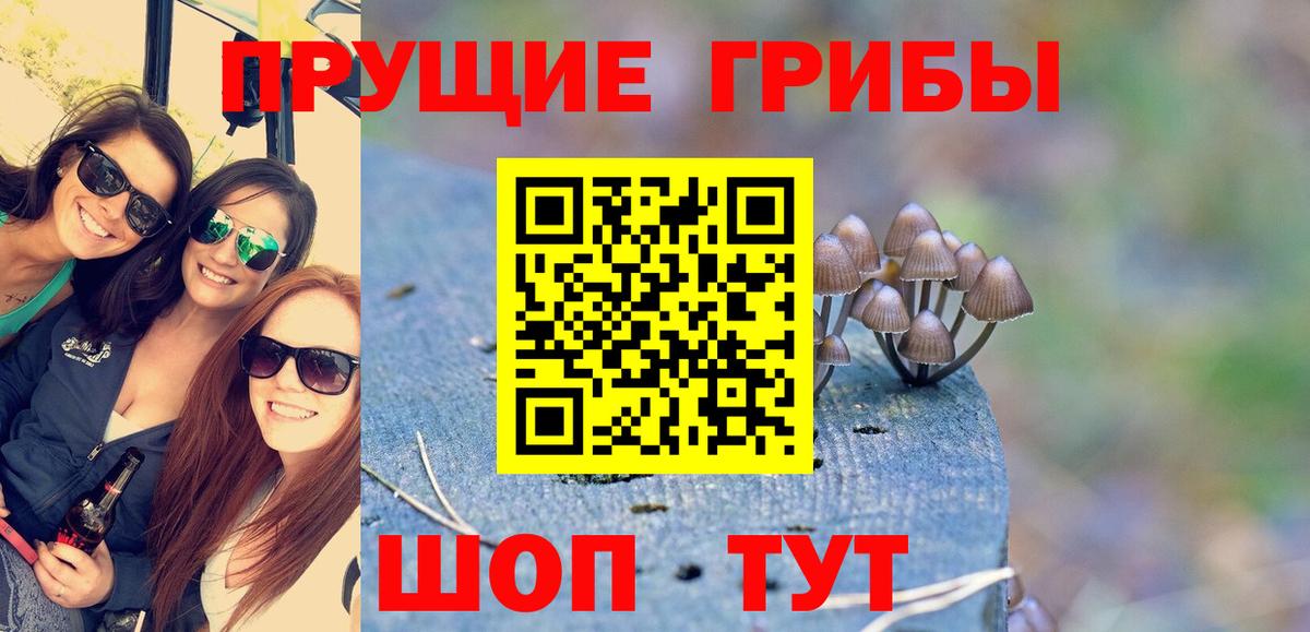 Галлюциногенные грибы мухоморы Шатура